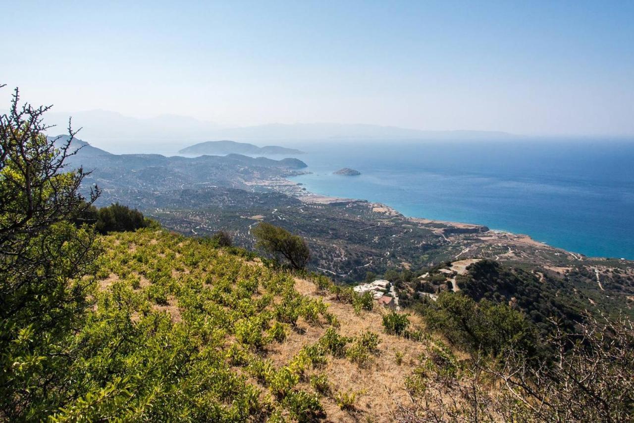 Daire Agrilos οlive τree αpartment Mirsini (Crete)