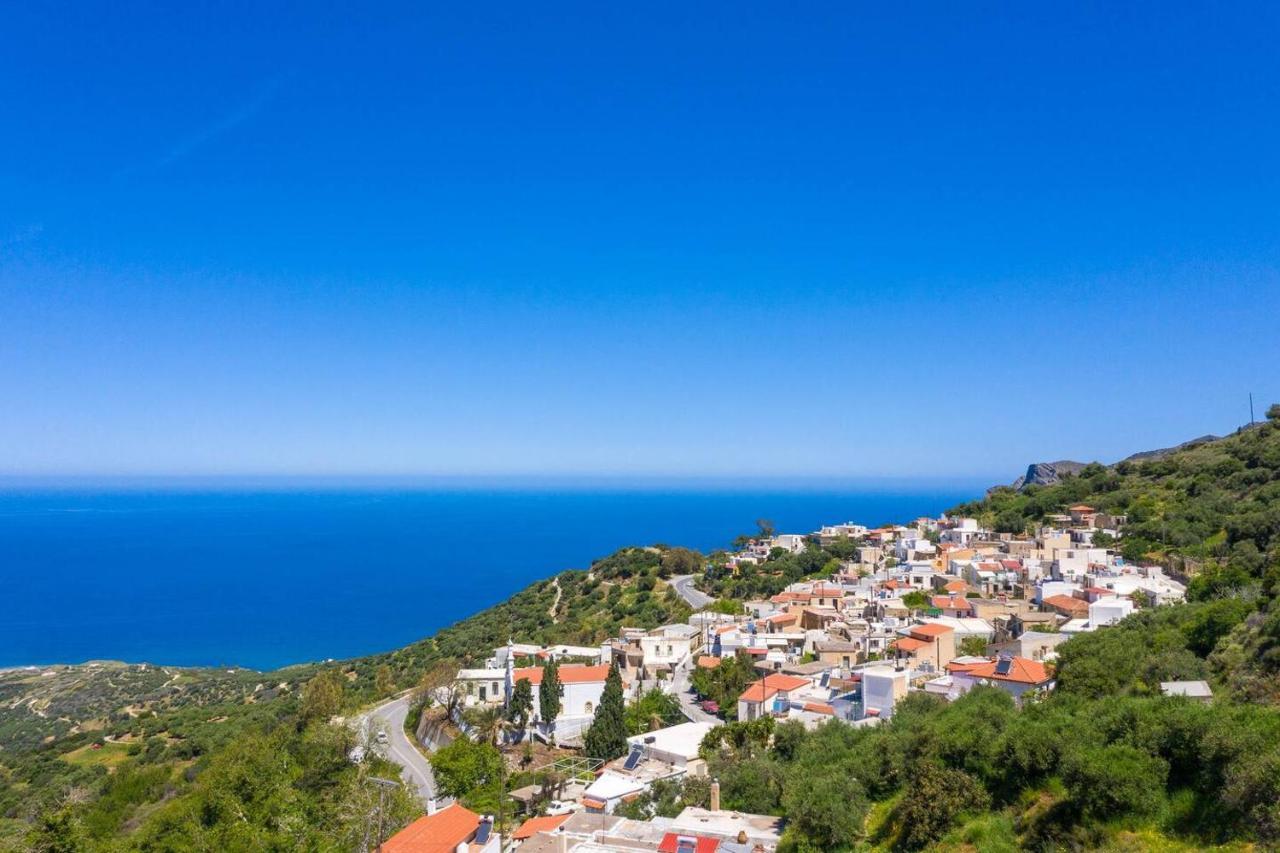 Agrilos οlive τree αpartment Apartament *