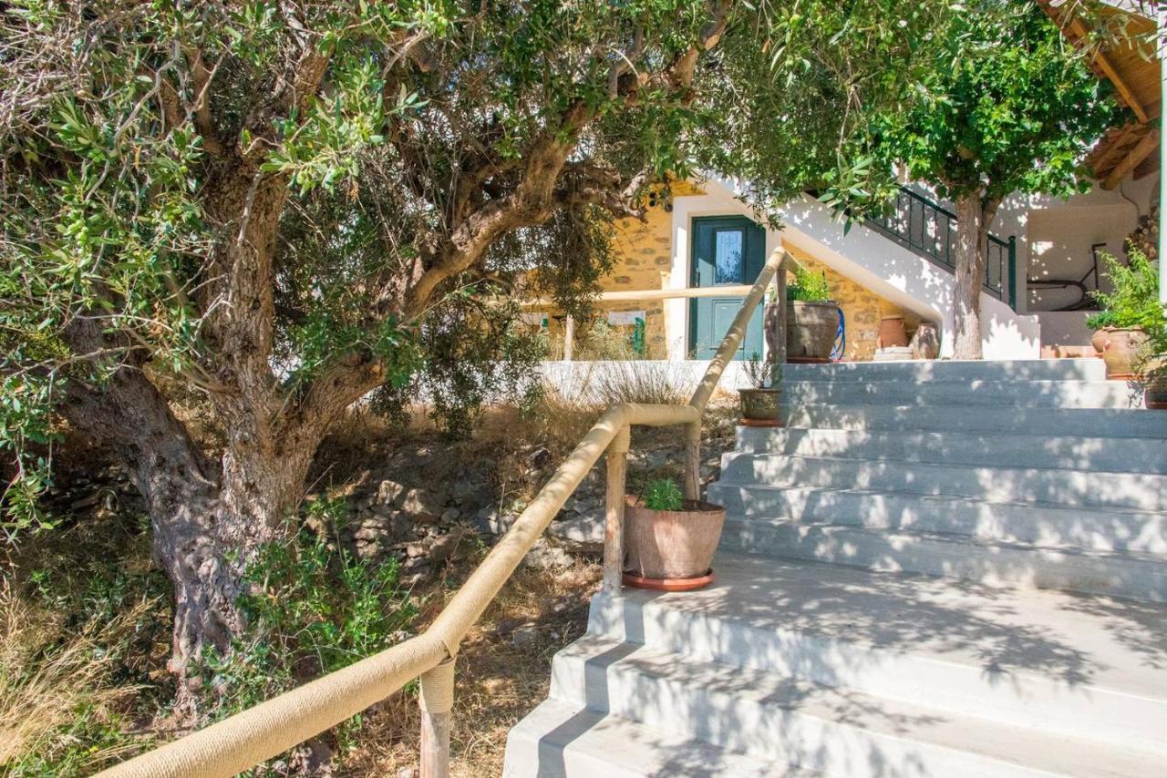Apartament Agrilos οlive τree αpartment