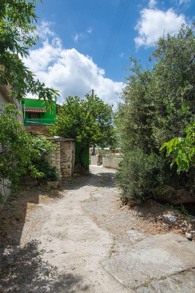 Agrilos οlive τree αpartment Mirsini (Crete)