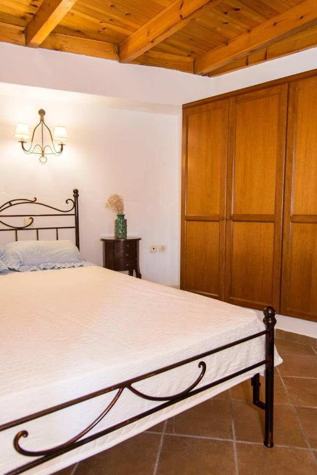 Agrilos οlive τree αpartment *